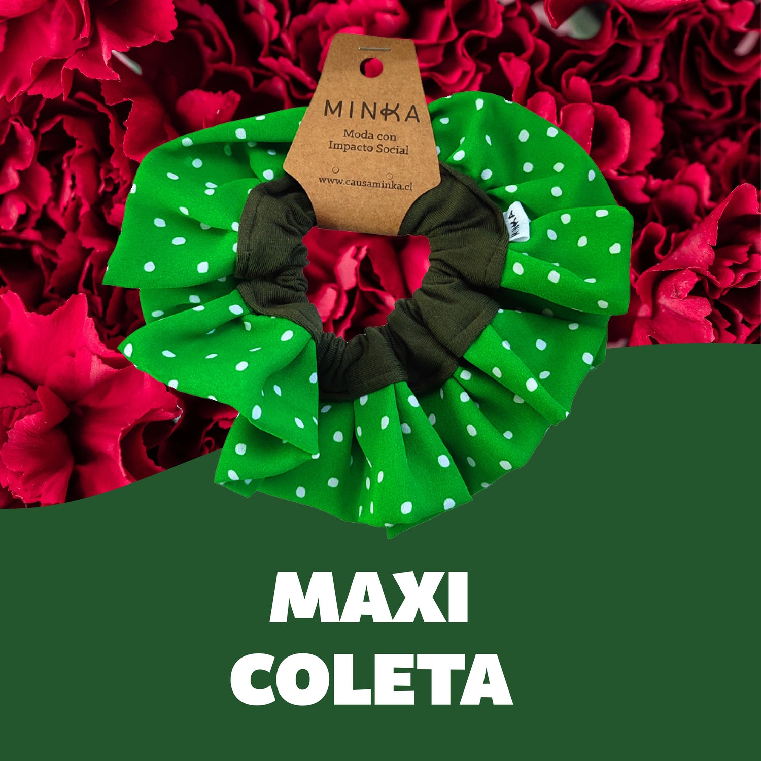 Maxi Coleta